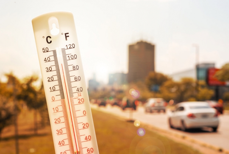 ¿Qué elementos del coche se ven más afectados con la llegada del calor?