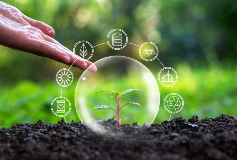 How can the workshop reduce the environmental impact of its daily operations?